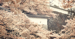 Himeji castle