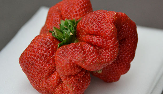 largest strawberry