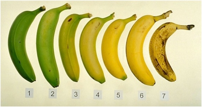 Banana better for you